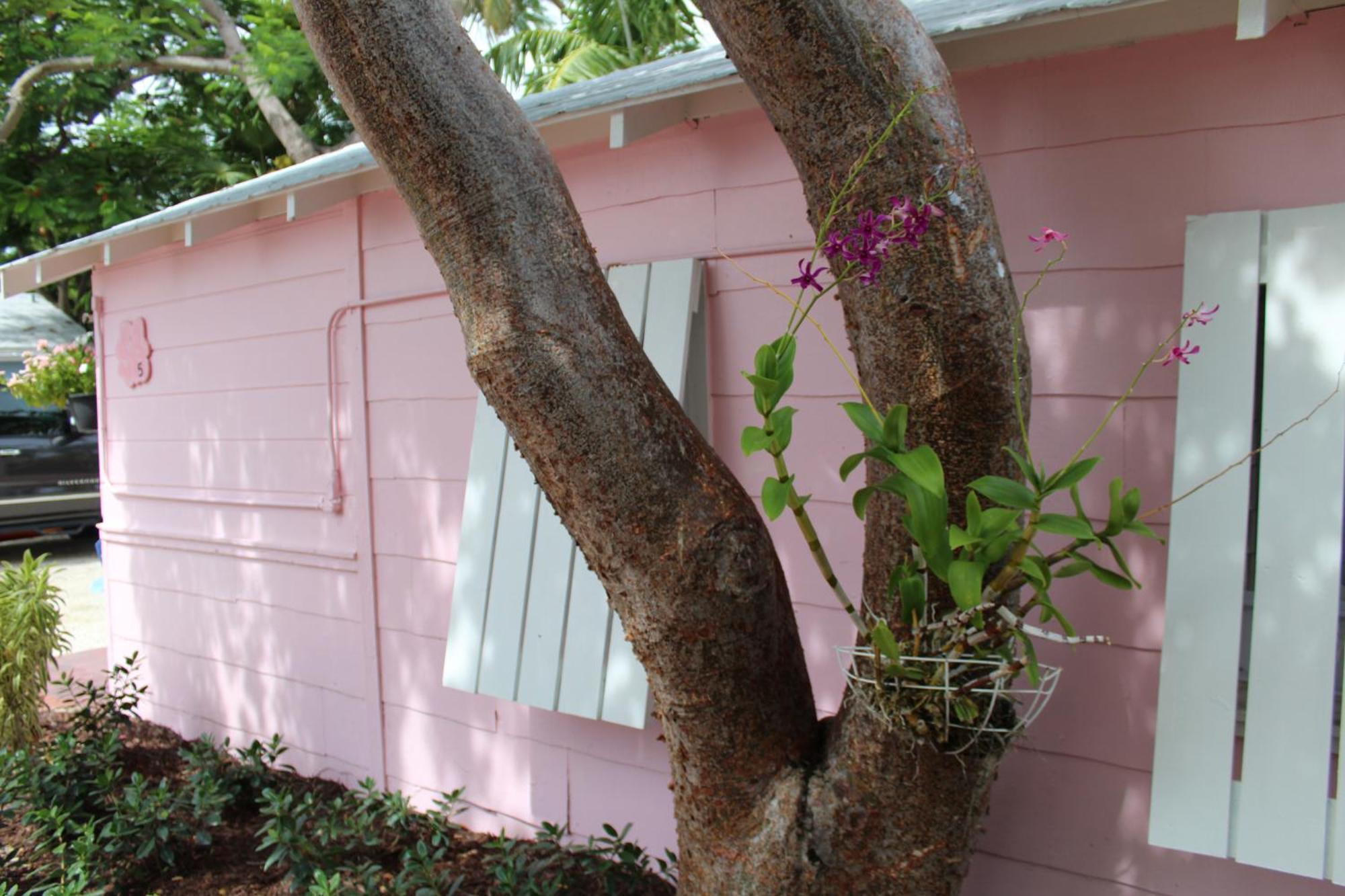 Tropical Cottages Маратон Стая снимка